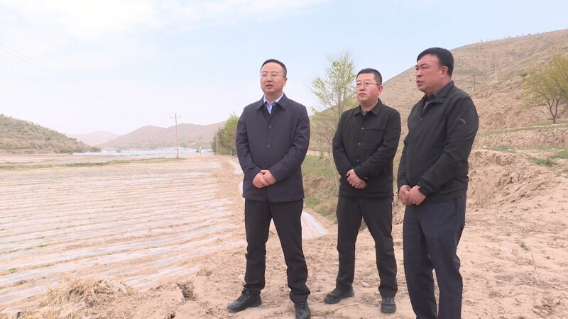 李桐调研全县近期重点工作