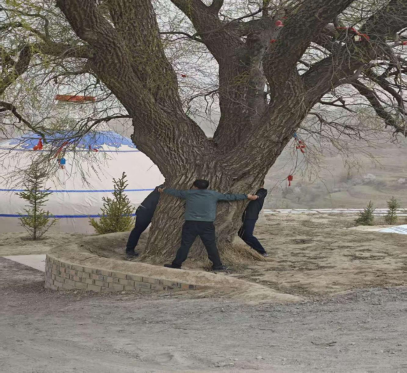 微信图片_2026-06-04_164440_357.png