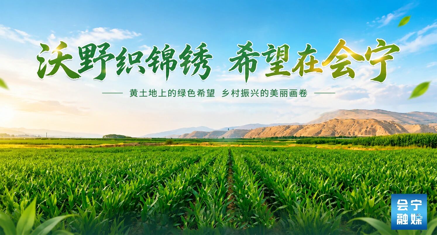抓住夏日的尾巴！走进会宁黄土塬，饱览塬上好景致→