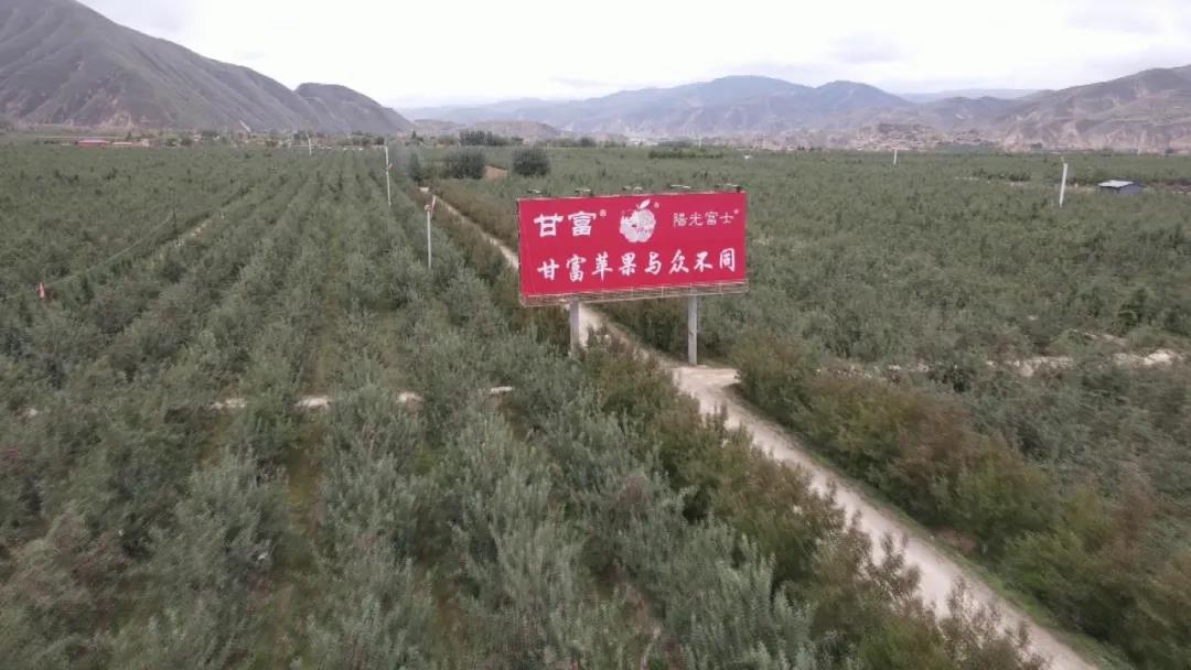 1635416598734368.jpg 微信图片_20211028181718.jpg