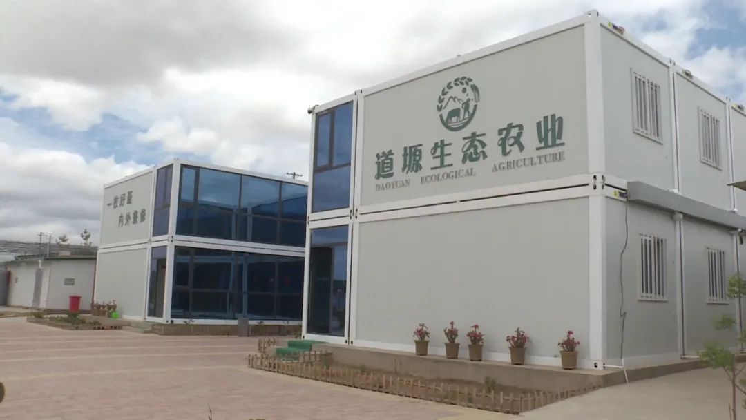 【学习贯彻省第十四次党代会精神】会宁：特色产业“金钥匙” 开启乡村振兴“致富门”