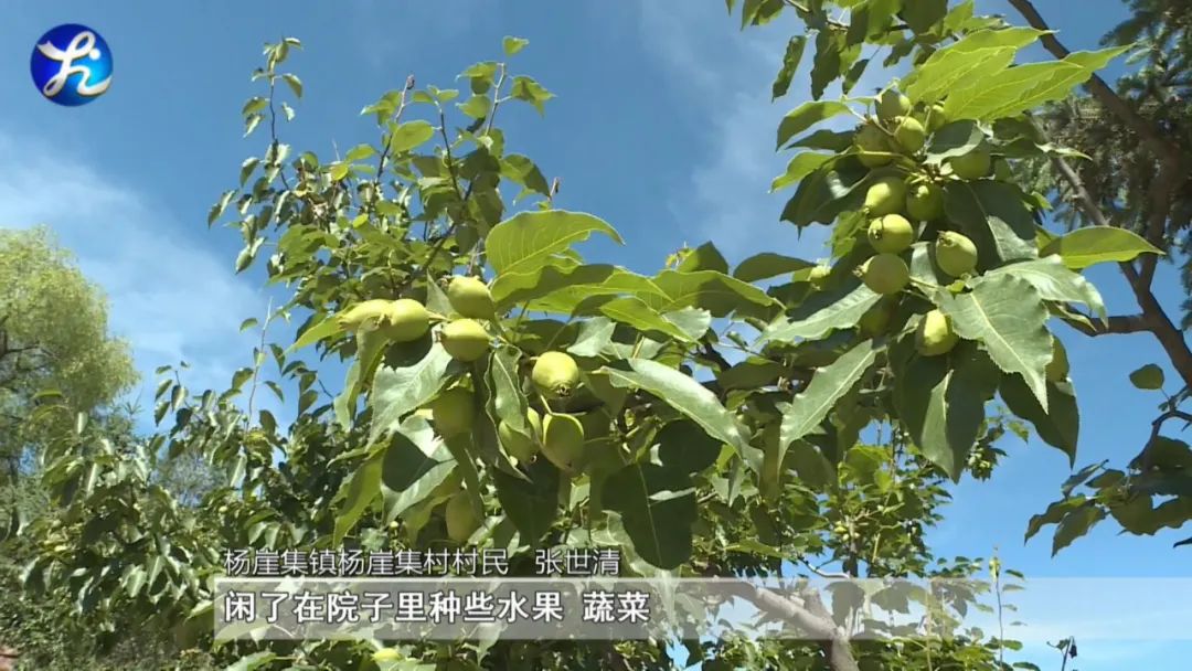 1656899687406605.jpg 微信图片_20220704095338.jpg