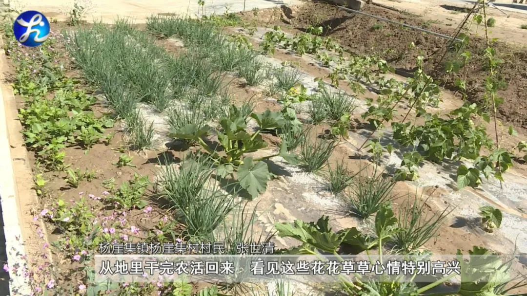 1656899694156451.jpg 微信图片_20220704095341.jpg