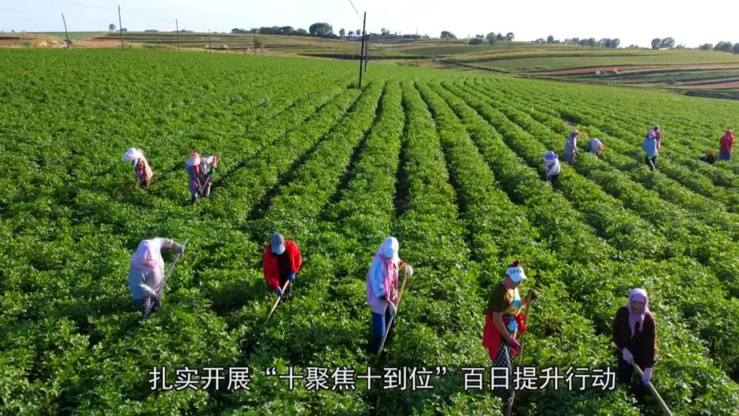 1672278338181584.jpg 微信图片_20221229094444.jpg