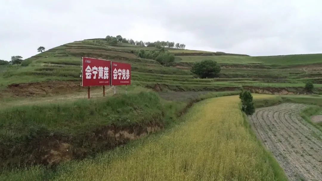 微信图片_20230128090136.jpg
