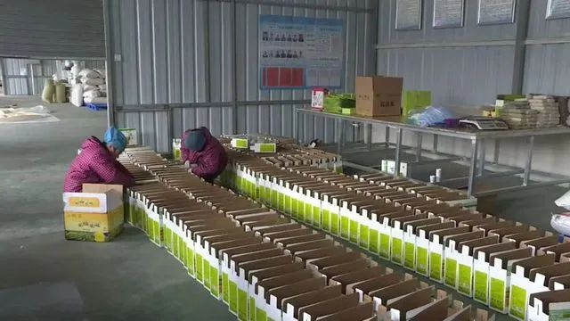 微信图片_20230128090201.jpg